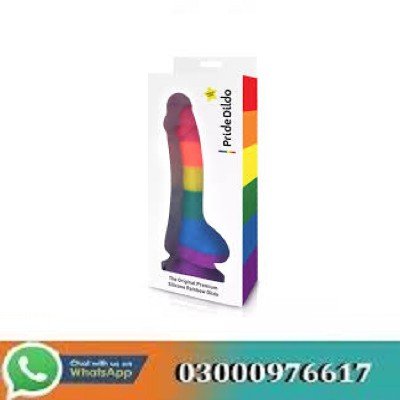Rainbow Silicone Suction Cup Anal Dildo