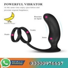 Lanco Double Ring Vibrator In Pakistan