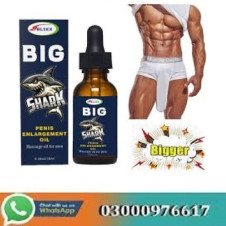 Big Shark Oil Price In Pakistan
